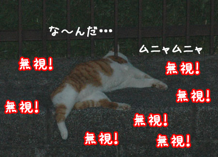 20060905-3.jpg