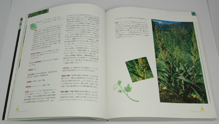 20060906.jpg