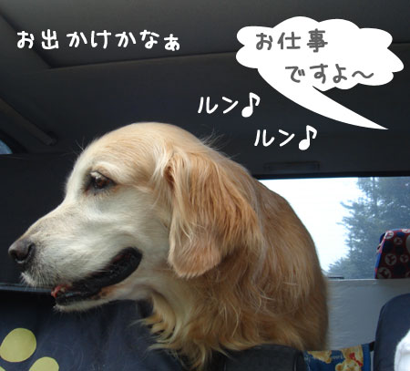 20060907-1.jpg