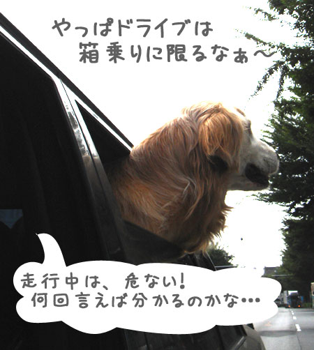 20060907-2.jpg