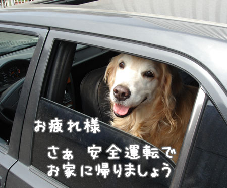 20060907-4.jpg