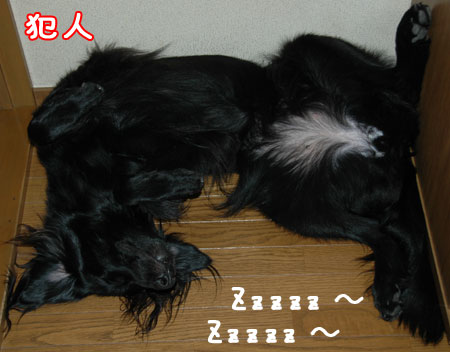 20060911.jpg