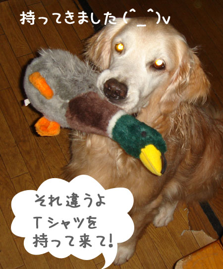 20060912-1.jpg