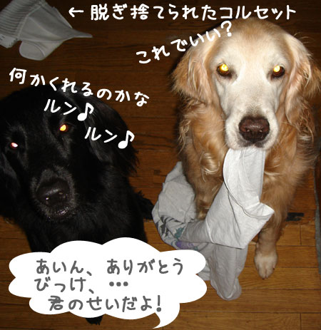 20060912-2.jpg