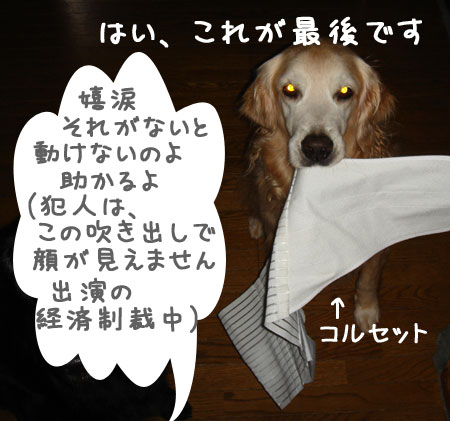20060912-3.jpg