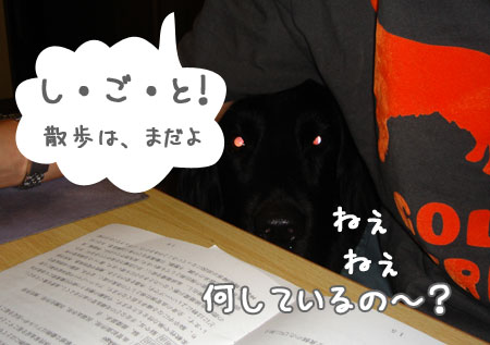 20060915-1.jpg