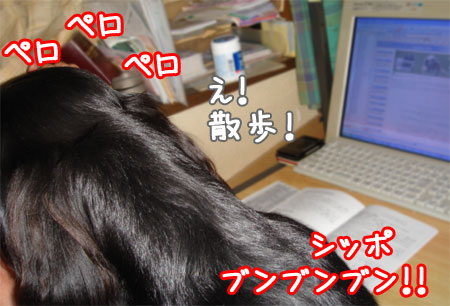 20060915-2.jpg