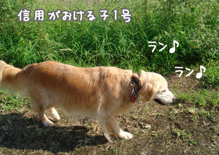 20060916-1.jpg