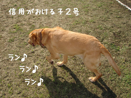 20060916-2.jpg