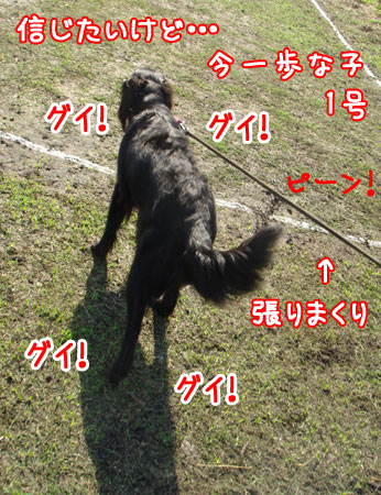 20060916-3.jpg