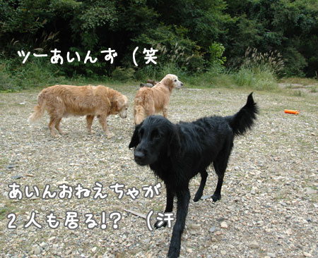 20060918-3.jpg