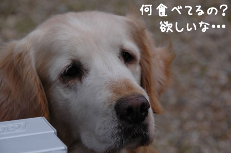 20060918-4.jpg