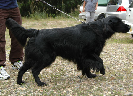 20060918.jpg
