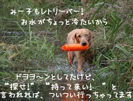 20060918-1.jpg