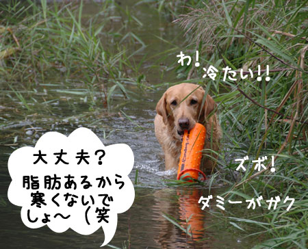 20060918-2.jpg