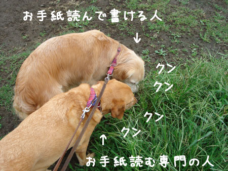 20060920.jpg