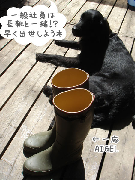 20060925-2.jpg