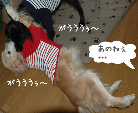 20060926-2.jpg