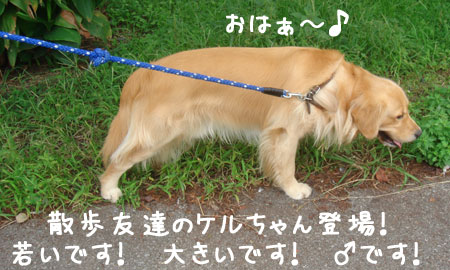 20060929-2.jpg