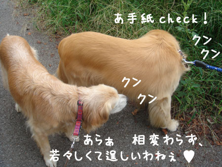 20060929-3.jpg