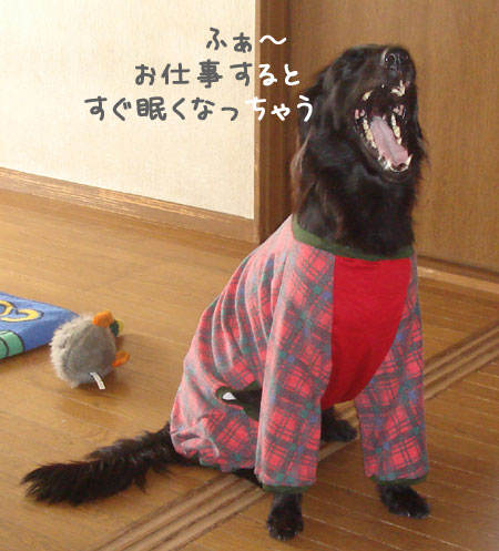 20061002.jpg