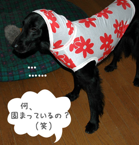 20061005.jpg