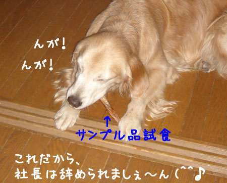 20061006.jpg