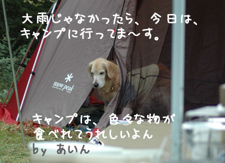 20061007.jpg