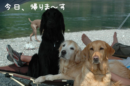 20061009.jpg