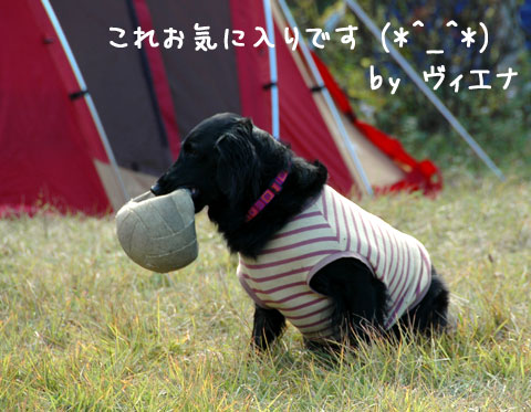 vb003.jpg