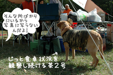 vb007.jpg