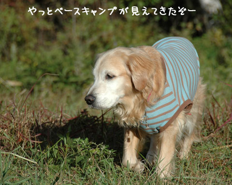 vb029.jpg