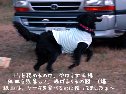 vb036.jpg