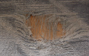 20061015-1.jpg