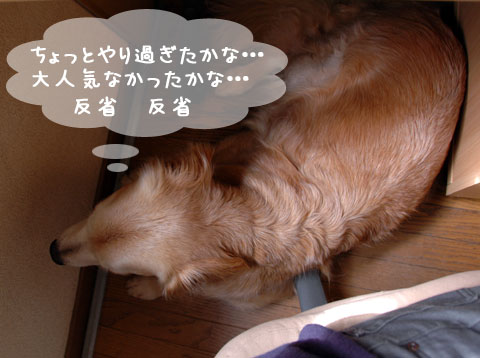 20061015-2.jpg