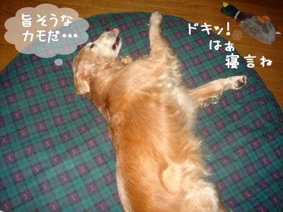 20061016.jpg