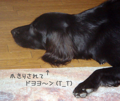 20061017.jpg