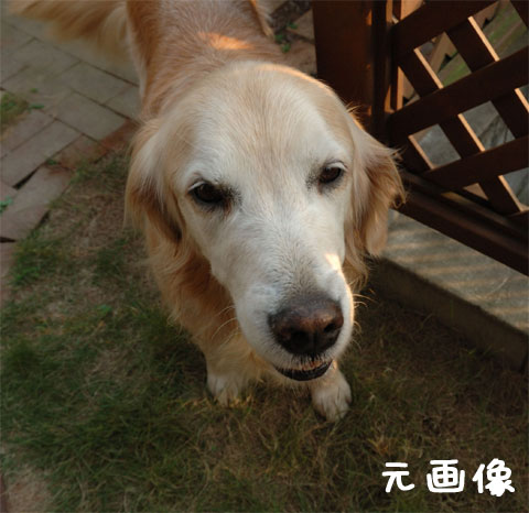 20061019-1.jpg