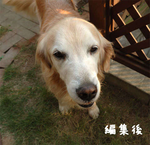 20061019-2.jpg