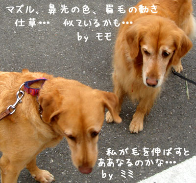 20061020-2.jpg