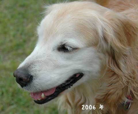 20061026-4.jpg