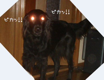 20061103.jpg