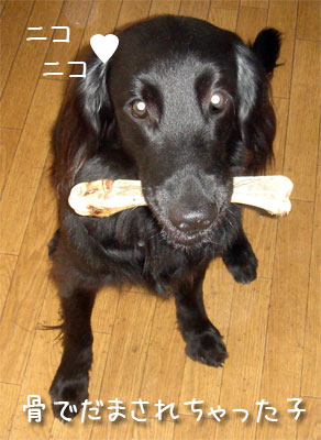 20061105-1.jpg