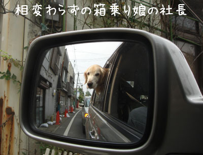 20061105-2.jpg