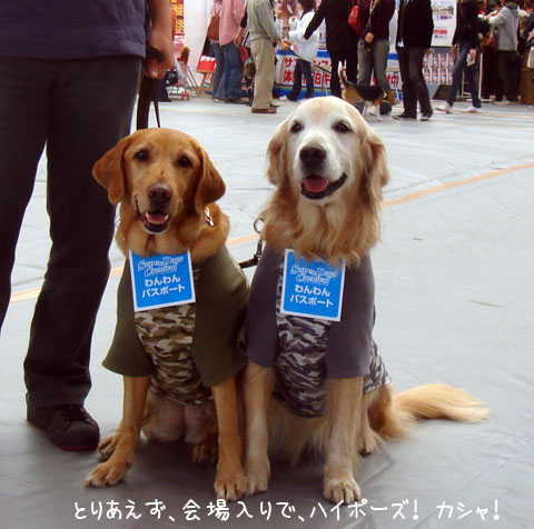 20061105-3.jpg