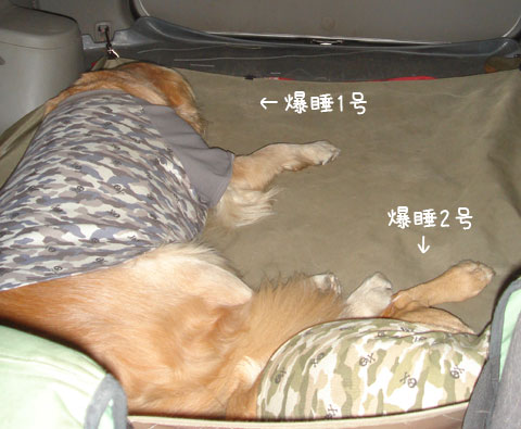 20061105-9.jpg