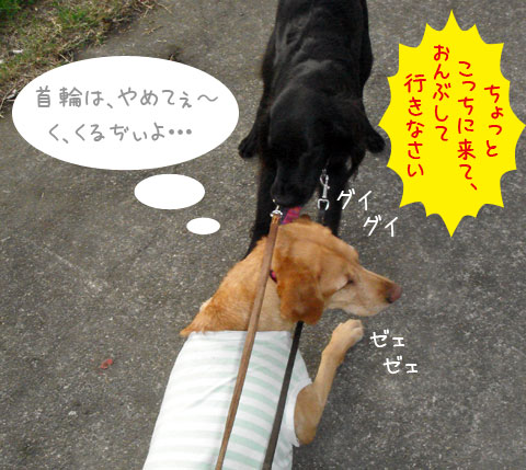 20061106-2.jpg