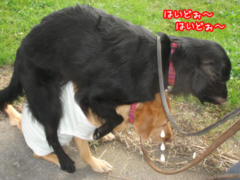 20061106-6.jpg