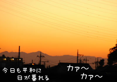 20061109.jpg