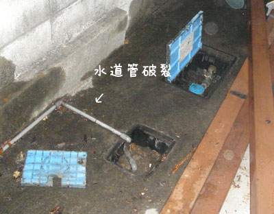 20061110-1.jpg